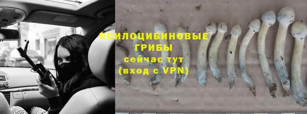 соль ск Алексин