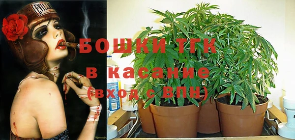 соль ск Алексин