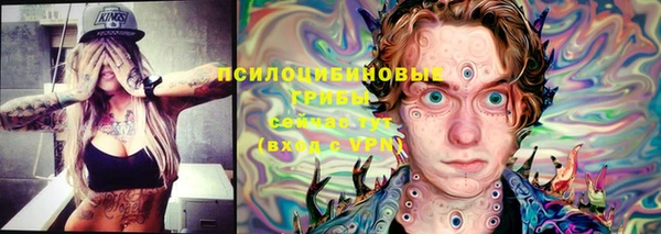 круглые Алексеевка