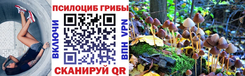Псилоцибиновые грибы мухоморы  Курлово 